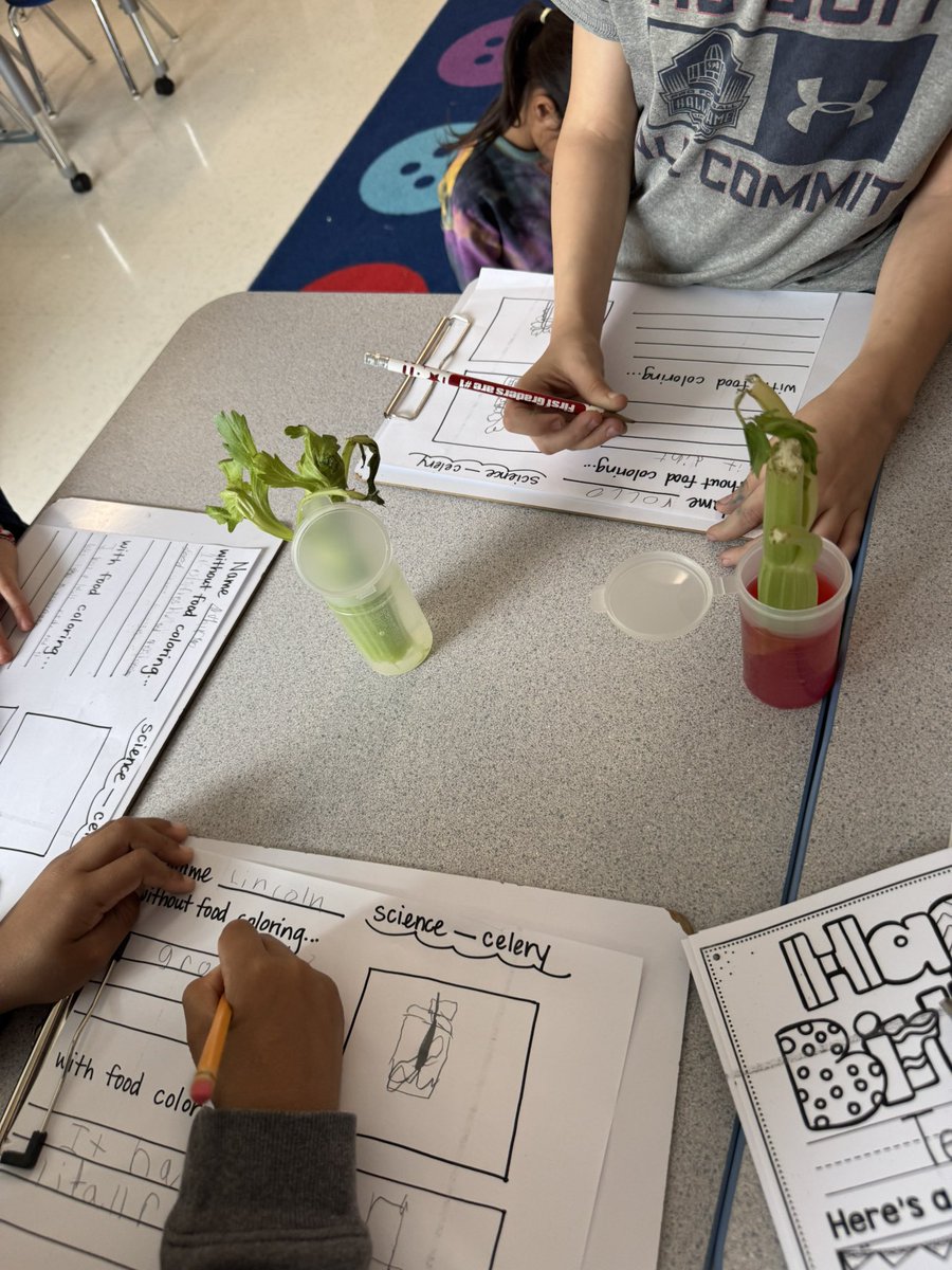 Miss Kerr tweet media