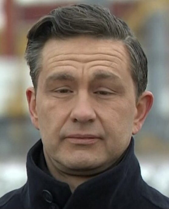 oneplusone10's tweet image. A lying, vindictive moron has been put in charge of the United States.

Let’s not make the same mistake here in Canada.

#NeverPoilievre