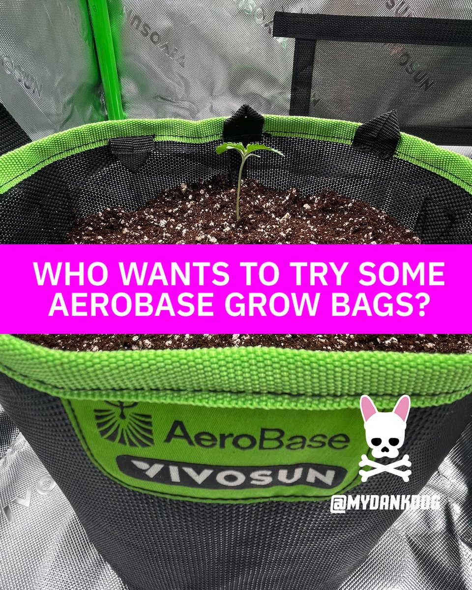 I've got sample packs of 3x 3-gallon and 3x 5-gallon Vivosun AeroBase grow bags up for grabs for a few lucky growmies!!!

Look how cozy this Terpyz Ice Cream Marker baby looks! Yours can look this cozy too!

AeroBase = Better Growth, Less Effort. These upgraded fabric grow bags