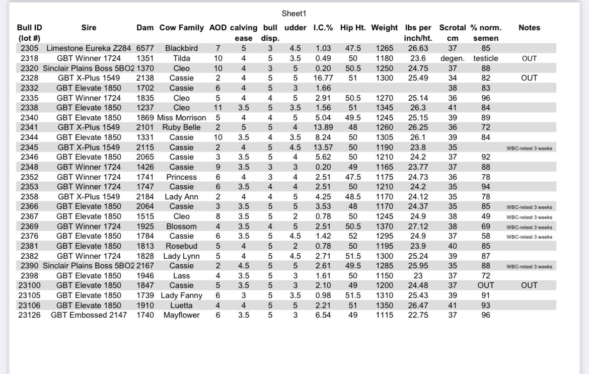 gbtangus's tweet photo. Supplement sheet is now posted on DLMS Timed Auctions! 
Scrotal measurments, hip heights and current weights.
#foragedeveloped
#ranchready 
https://t.co/jb9pfT8hb2 https://t.co/QBCJxiYOWa