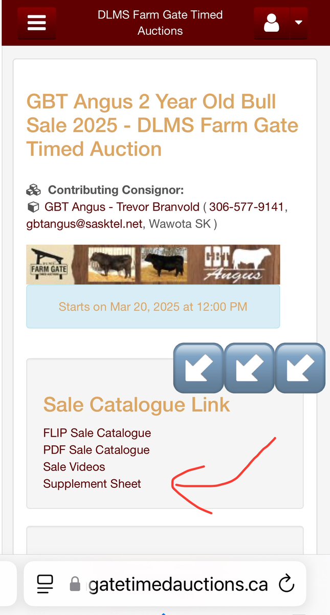 gbtangus's tweet photo. Supplement sheet is now posted on DLMS Timed Auctions! 
Scrotal measurments, hip heights and current weights.
#foragedeveloped
#ranchready 
https://t.co/jb9pfT8hb2 https://t.co/QBCJxiYOWa
