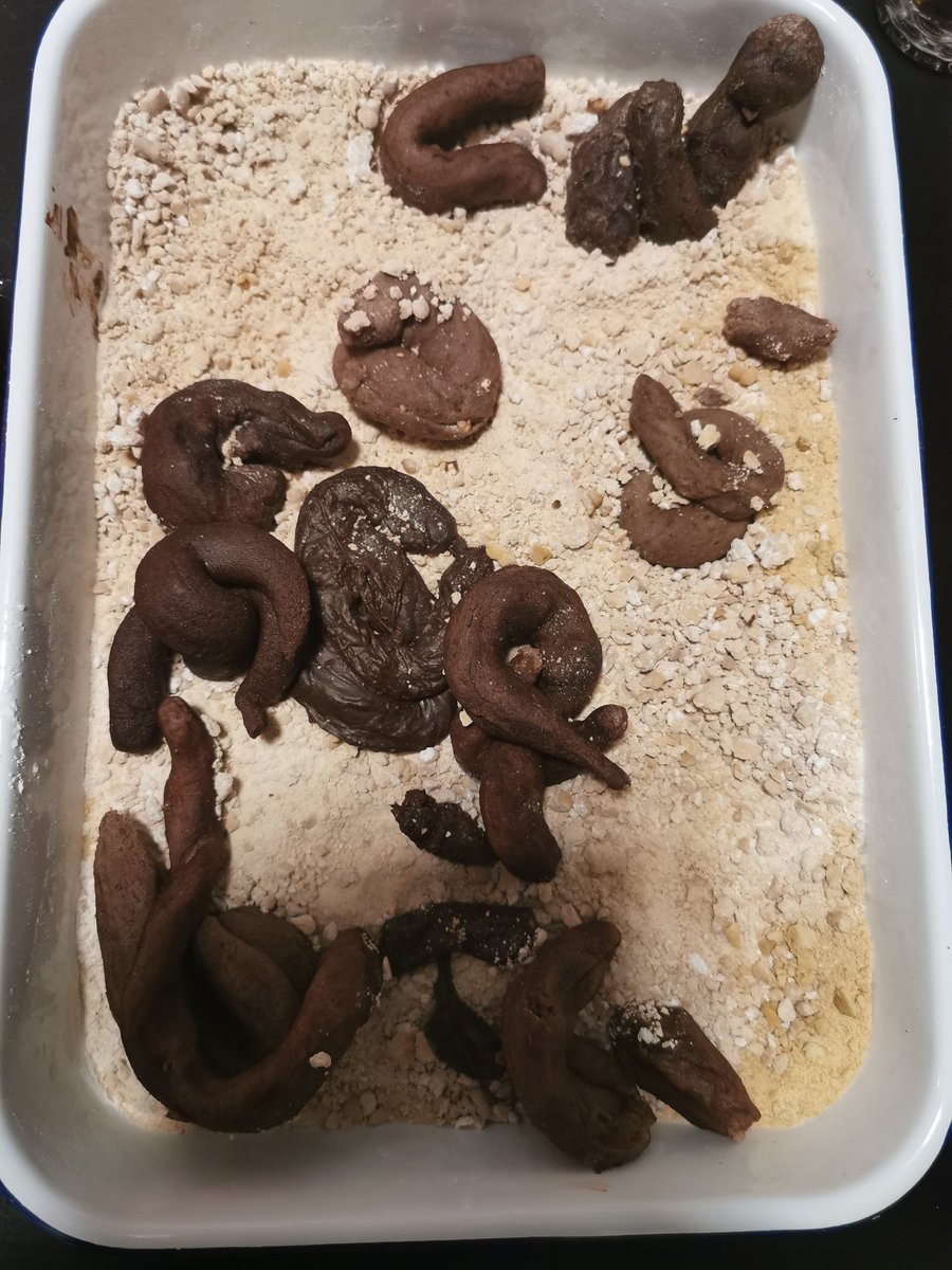 DrakesLP's tweet photo. Meine Geburtstagsgäste bekommen gutes aus dem Katzenklo vorgesetzt 😂

Keinr Panik! Das sind zerbröselte Butterkekse mit Puderzucker, Marzipanrohmasse mit Backkakao und geschmolzenen Storck Riesen und geschmolzenen Nutella xD https://t.co/2vCUP6hZop