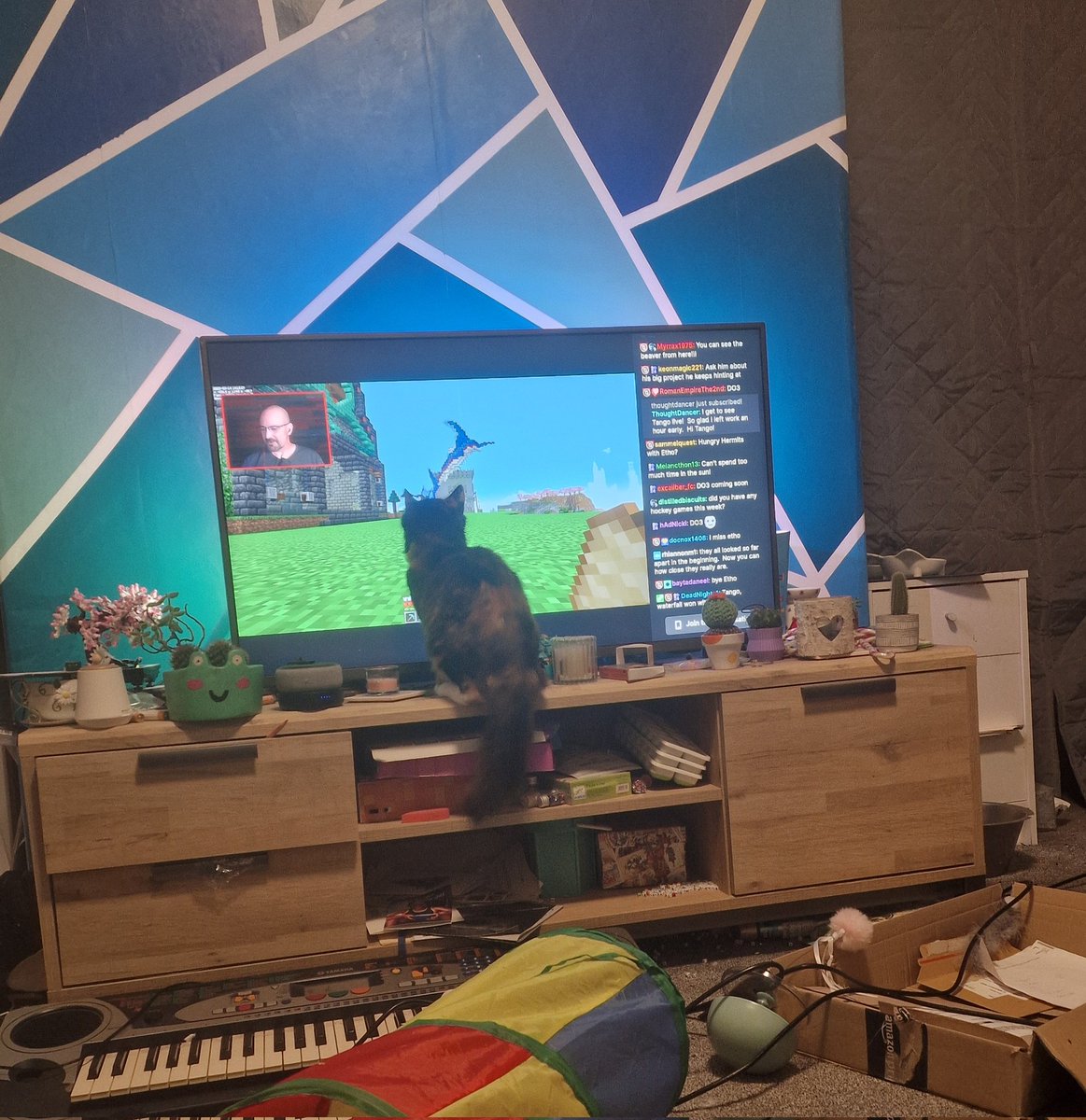 CarolSmileyca's tweet photo. @TangoTekLP  my little Rayla watching you stream 😍 https://t.co/KhHBFrBkMd