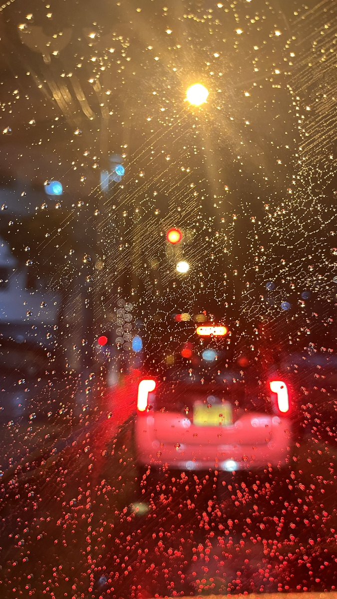 雨の水滴を撮りました！