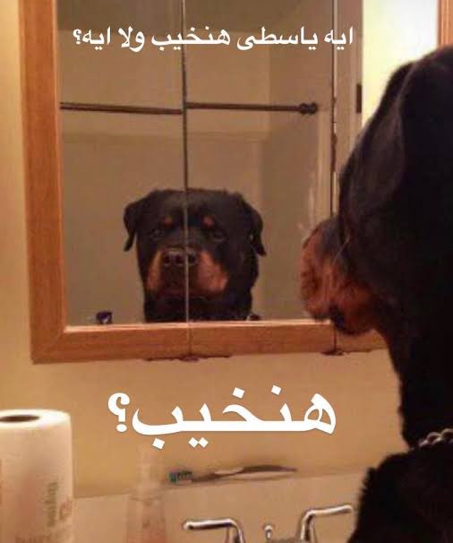 refaaa3y's tweet photo. العلاج الاقوي https://t.co/eGIfxRWYt6