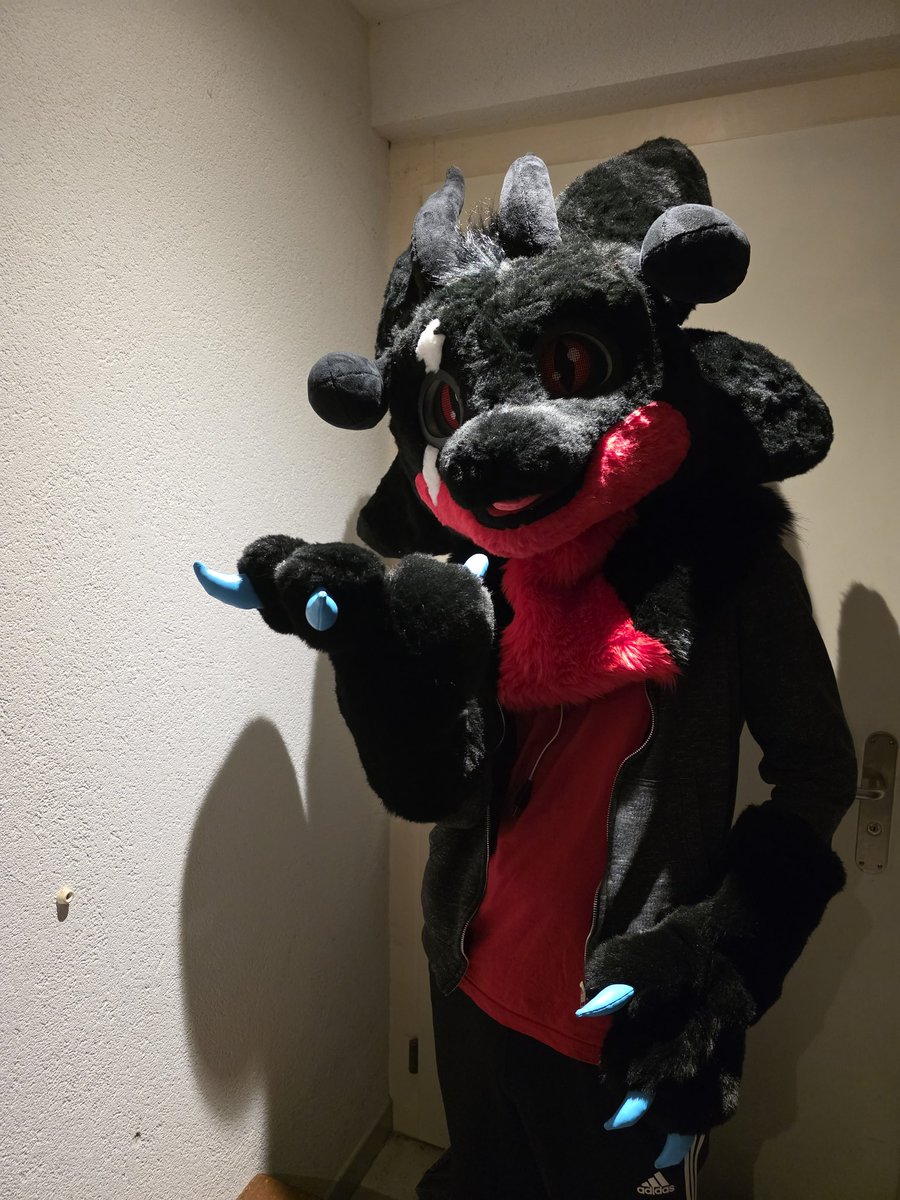 Haui (@hauiator96) on Twitter photo Oh Hai!
Long Time no Activity here.
How bout I bring it with my first #FursuitFriday ! Oh Hai!
Long Time no Activity here.
How bout I bring it with my first #FursuitFriday !