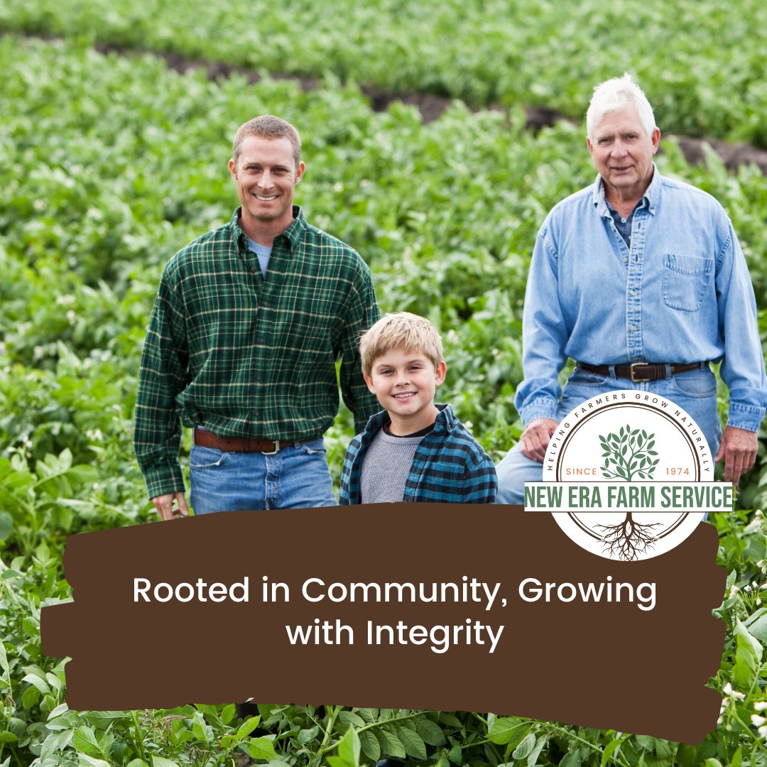 NewEraFarm's tweet photo. Since 1974, New Era Farm Service has remained a family-owned and operated business, dedicated to supporting organic agriculture with innovative and sustainable solutions.

Connect with us to learn how we can support your farming needs: https://t.co/eUDGApI0LS 
#NewEraFarmService https://t.co/oS5QfGt3tH