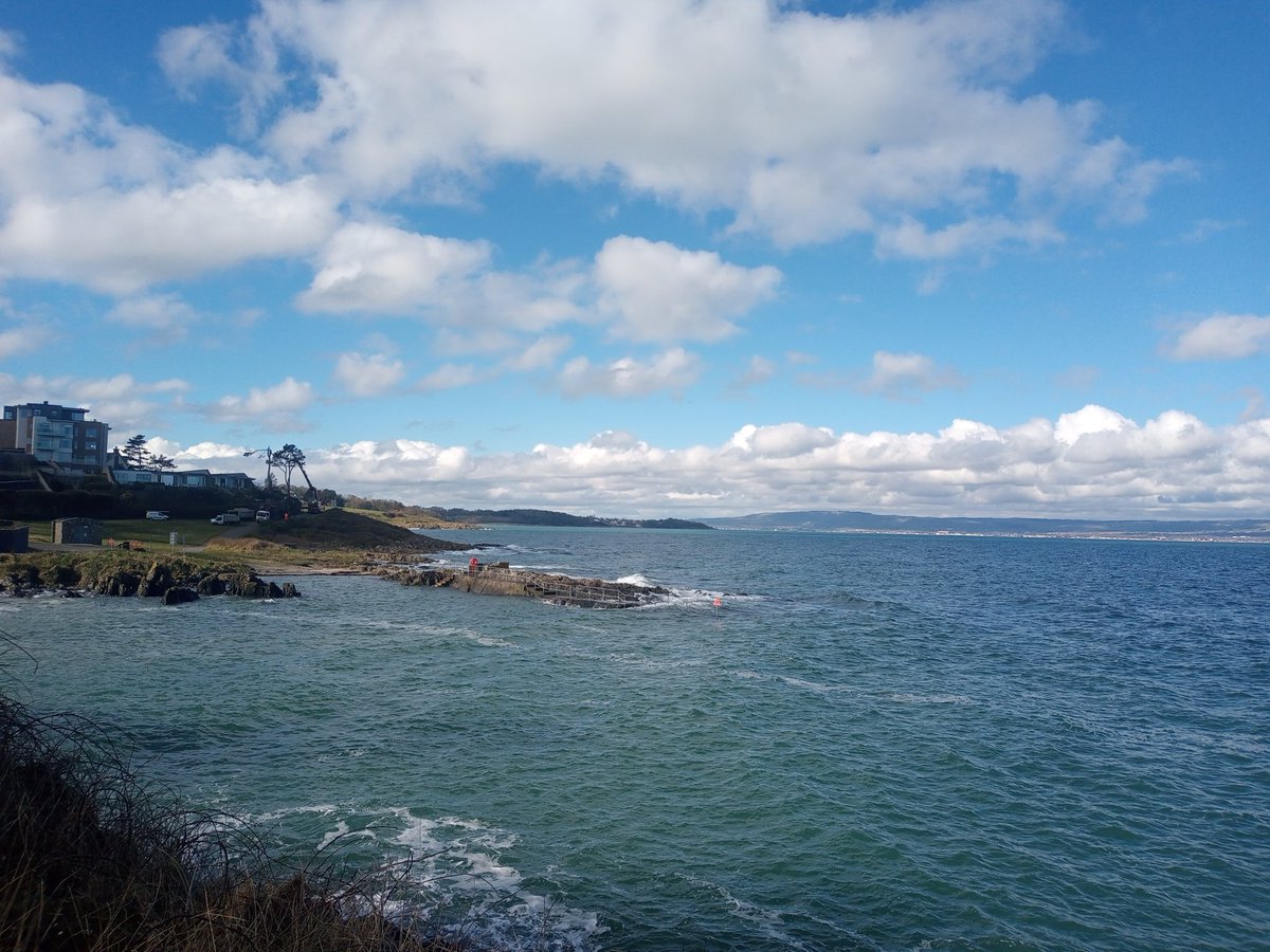 Marian Neill tweet media