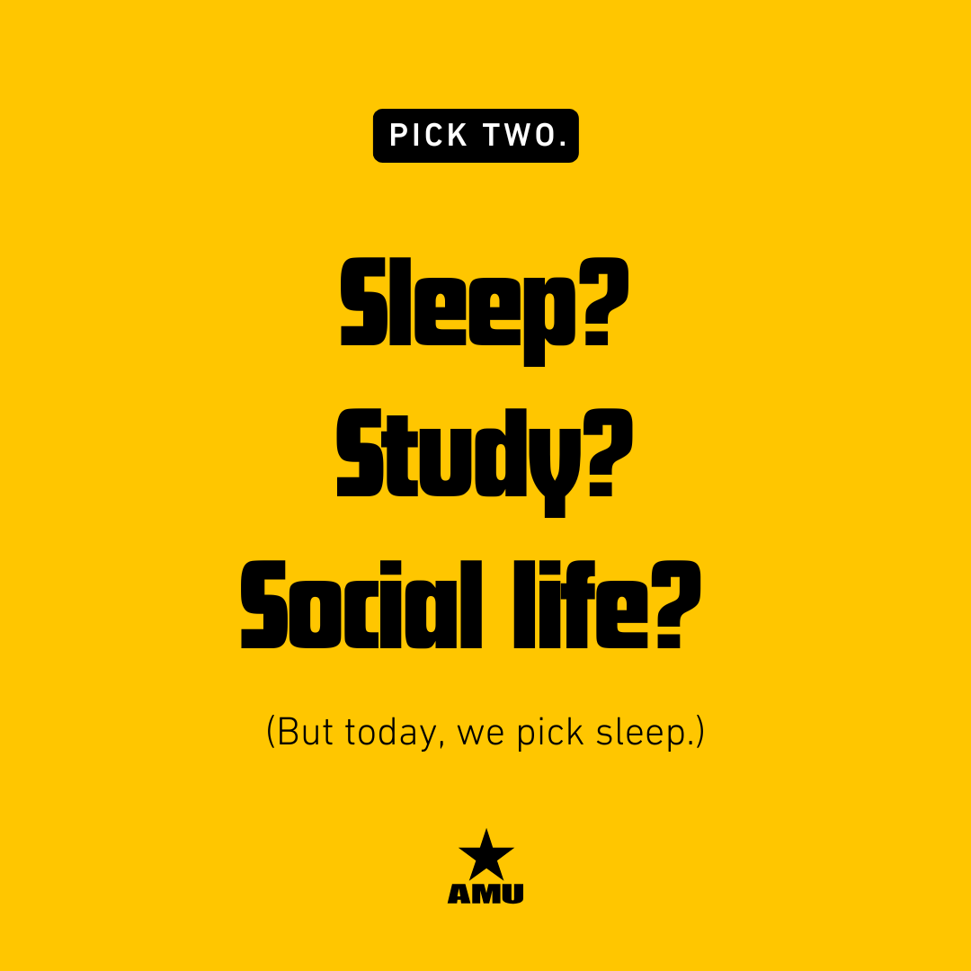 AmericanMilU's tweet image. Decisions. Decisions.

#Studybreak #WorldSleepDay #naptime