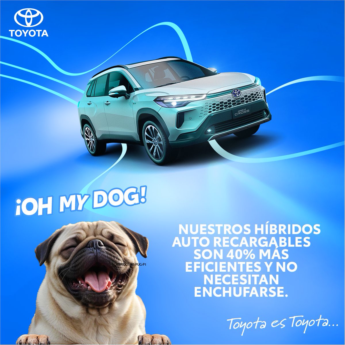 🚘 Tus híbridos autorecargables no necesitan enchufarse. ¡Son sinónimo de eficiencia!

Obtén tu #CorollaCross desde $33.999* y descubre todas sus ventajas.

Cotízalo aquí: toyota.com.ec/corolla-cross-…

*Aplican restricciones.

#ToyotaEsToyota #ToyotaHybrid #Toyotahibridoautorecargable