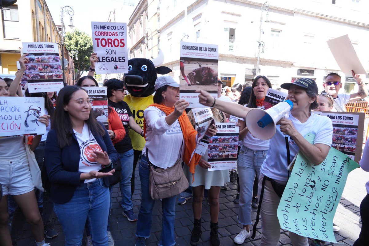 ¡Hoy marchamos por los derechos de los animales en el corazón de la CDMX! 💚🐂

Seguimos firmes en la lucha contra las corridas de toros y por el bienestar de todos los seres sintientes.

¡El cambio es posible y juntos lo haremos!

#PequeñosPasosGrandesLogros
#NoMásSangre