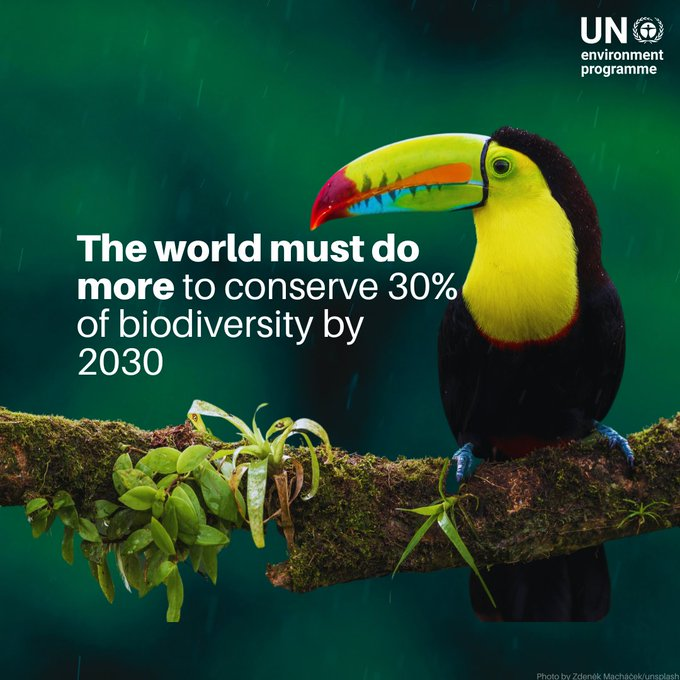 To date, only 17.6% of land and inland waters are protected, and 8.4% of oceans are safeguarded.

The “Protected Planet Report 2024” shows where we stand and what more must be done, #ForPeopleForPlanet:unep.org/resources/repo…

via <a href="/UNEP/">UN Environment Programme</a>