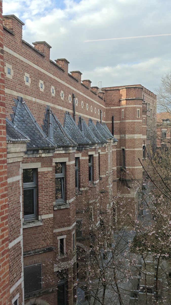 Het dak eraf: deze acht leien dakjes hebben nood aan een totale renovatie. Vanaf maandag tot eind mei zal er afwisselend achter- en vooraan het gebouw gewerkt worden, met stellingen en geluidsoverlast. In het najaar is de andere kant van Agora aan de beurt ⚒️