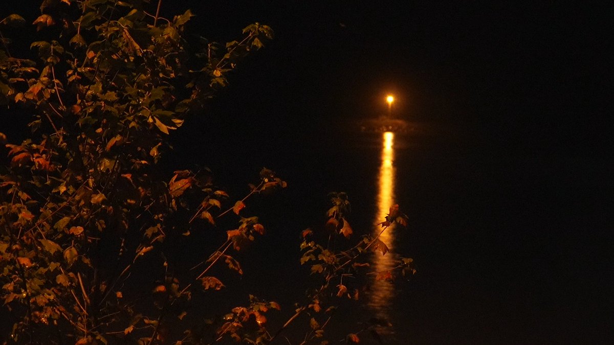 Instupendo tweet media