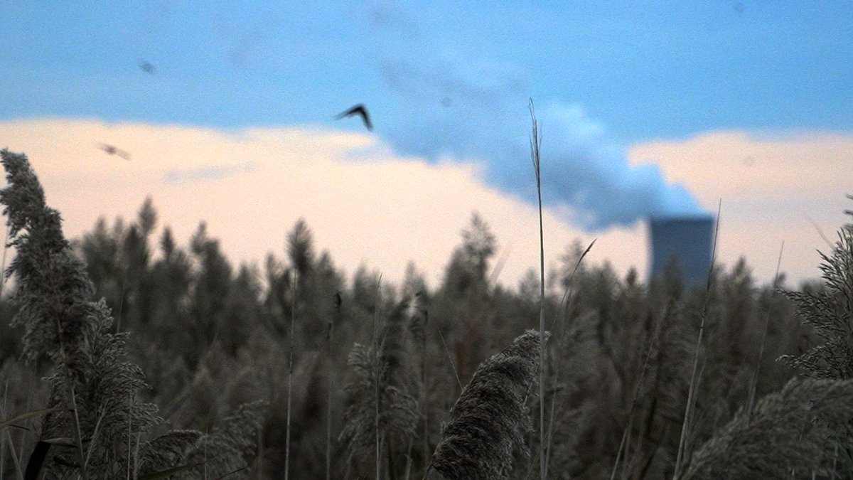 Instupendo tweet media