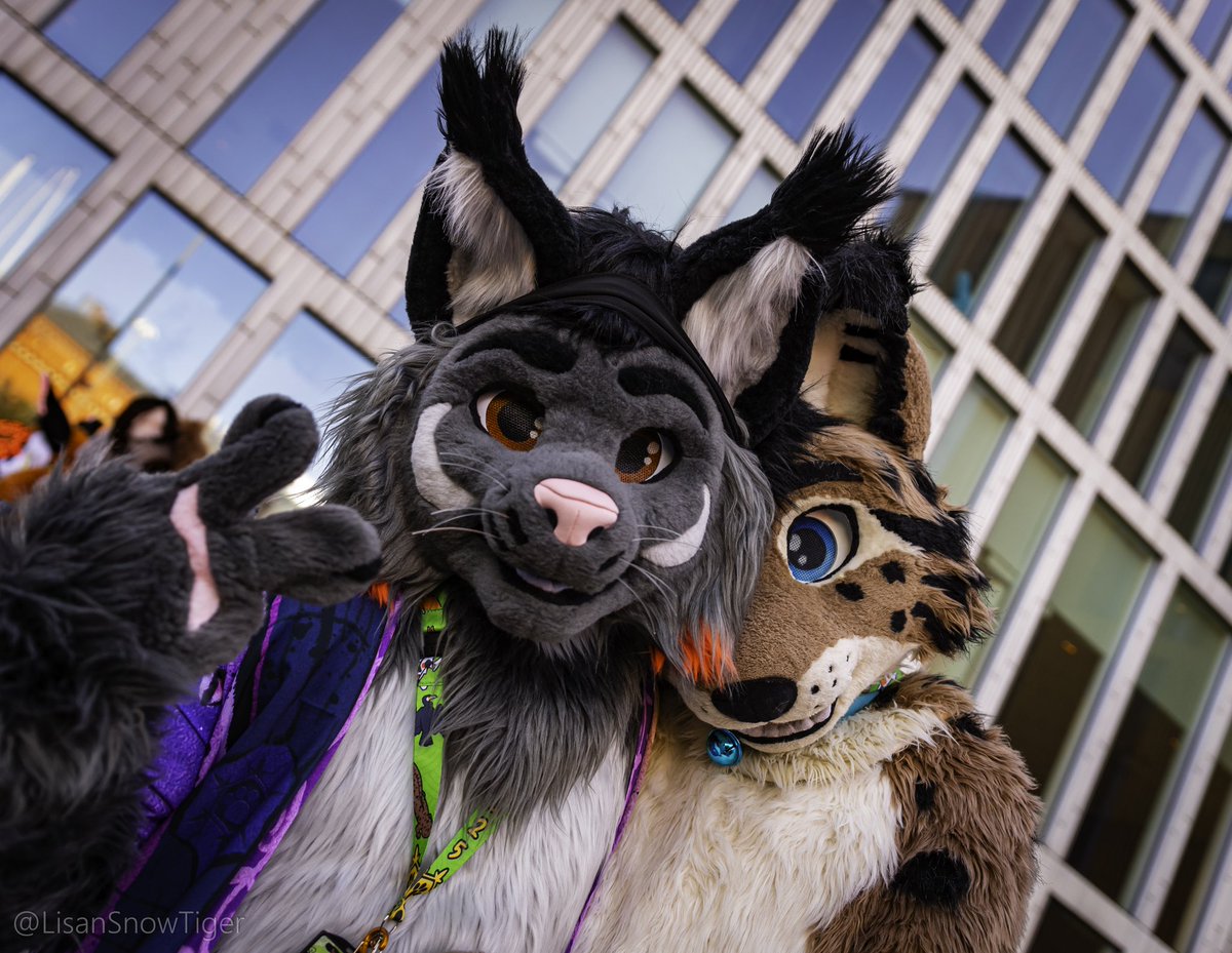 The adorable peeps we can find at NFC25 😊❤️
<a href="/RingerShep/">Ringer</a> and <a href="/Japuk_fur/">Japuk</a>
📷: <a href="/LisanSnowTiger/">Lisan | @LisanSnowTiger.bsky.social</a>