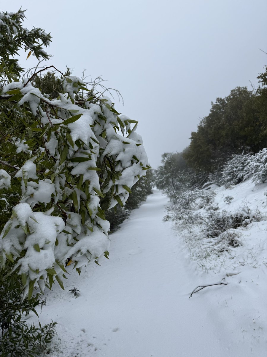 Amit Piplani tweet media