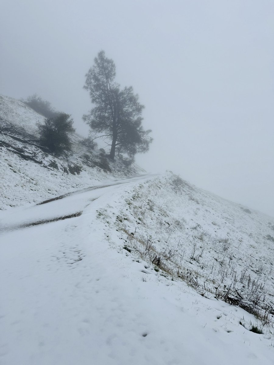 Amit Piplani tweet media