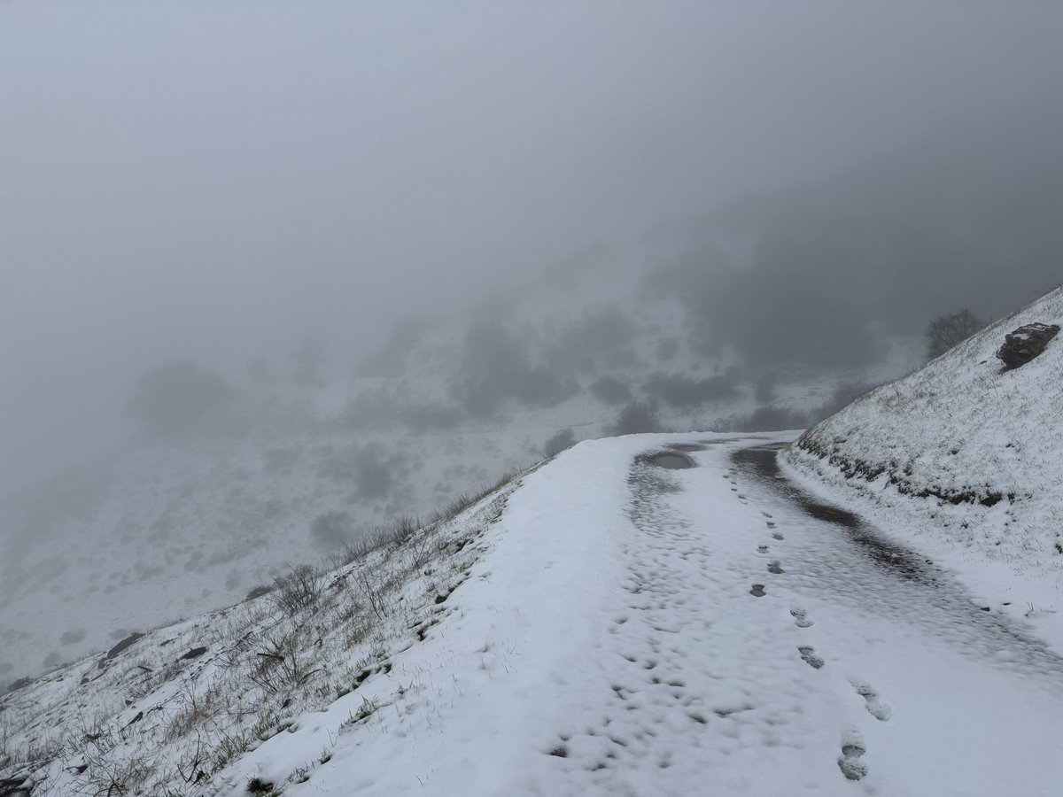 Amit Piplani tweet media