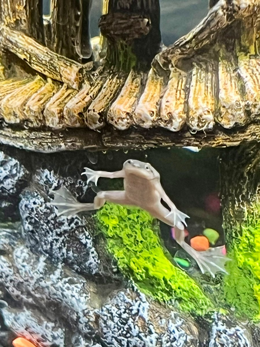 Nicole Schofer tweet media