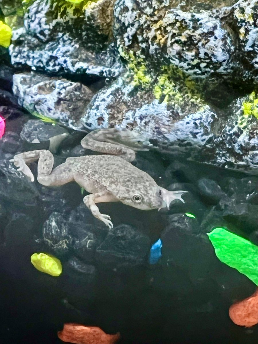 Nicole Schofer tweet media