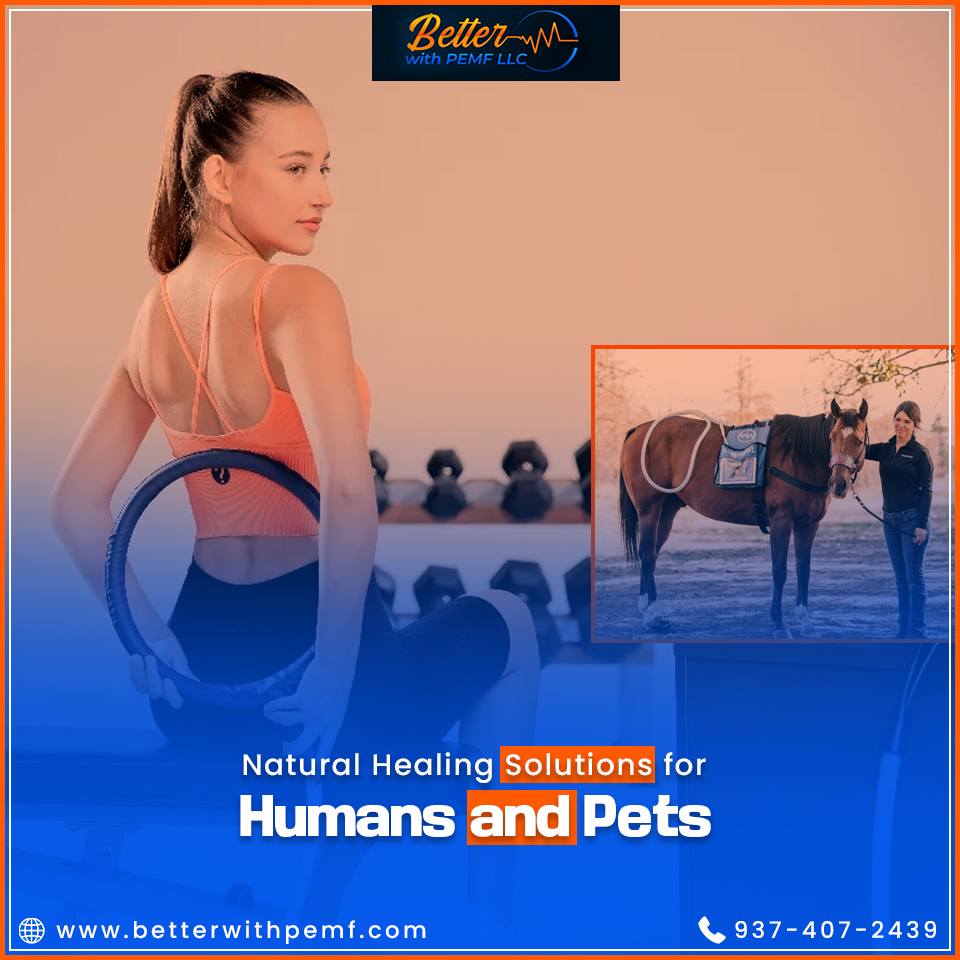 BetterWithPEMF's tweet photo. Help your animals thrive with PEMF therapy! It’s non-invasive, effective, and perfect for recovery and health. Schedule a session today.
.
.
#PEMFtherapy #NaturalHealing #PainReliefSolutions #DrugFreeWellness #HolisticHealthCare #AnimalHealing #EquineWellness  #PEMFPractitioners https://t.co/ZpYwTP2dap