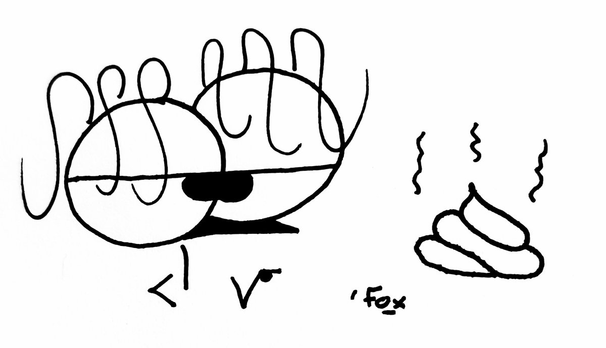 'Fox 🏳️‍⚧️ tweet media