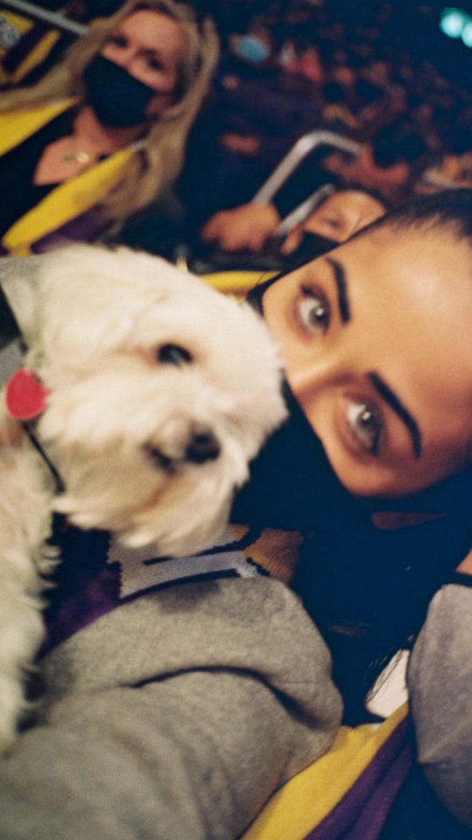 Today is one week since we lost our Rocky.. 

I still can’t believe it.. I don’t want to… is this real life?

I miss you Rock.