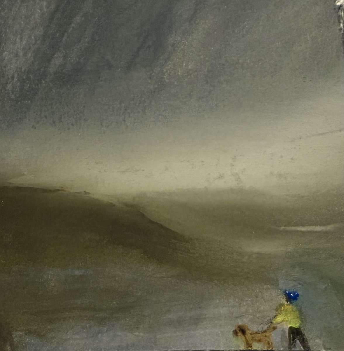 Sarah Evans tweet media