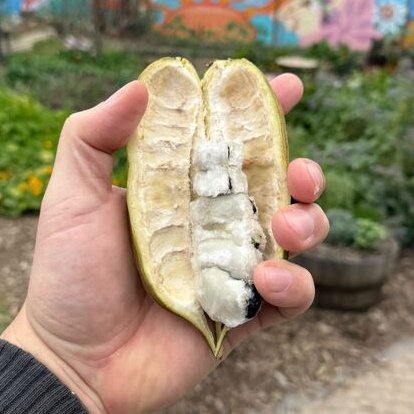 Kevin → Plant Daddy tweet media