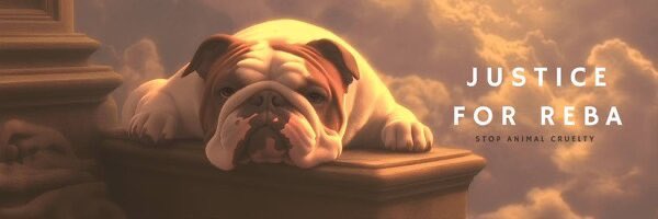 New DEX banner???

Community is making some amazing $Reba art!