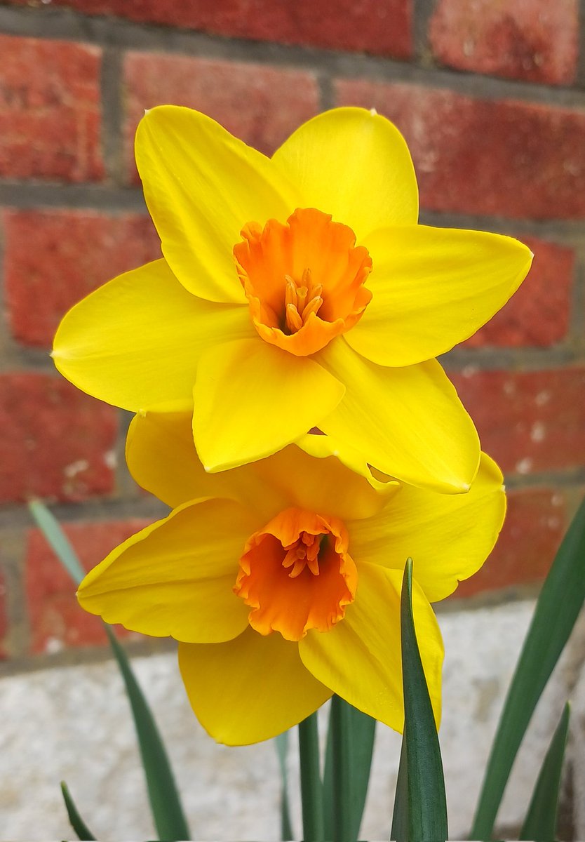 Worth Park tweet media