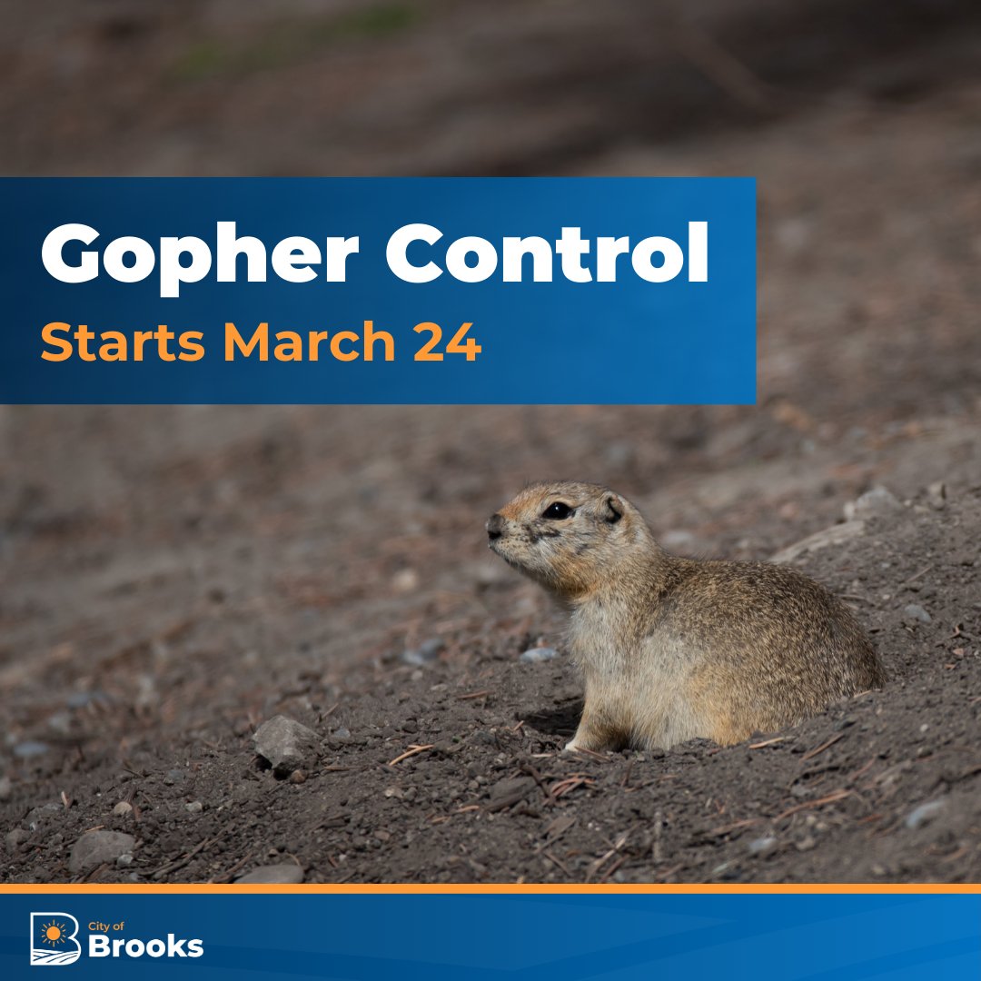Starting March 24, the Parks Department will begin gopher control due to the number of gophers. This includes putting an oat/pellet poison into gopher holes.

Please obey signs posted at sites.