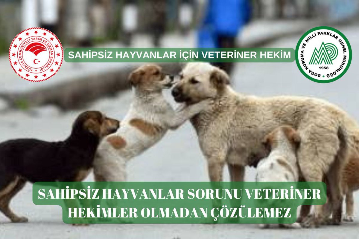 Sayın Bakanım <a href="/ibrahimyumakli/">İbrahim Yumaklı</a> biz de artık sizden gelecek olan haberi bekliyoruz.Sahipsiz hayvanlara çözüm olarak #veterinerhekimlere5000atama