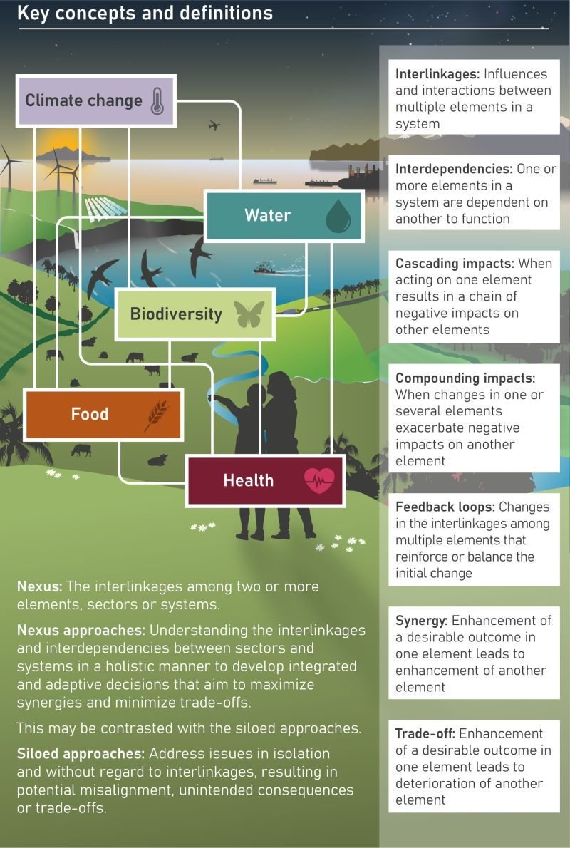 The IPBES #NexusAssessment Report finds that using a ‘nexus’ approach to address intertwined environmental, social and economic crises is more effective than a siloed approach.

Read more: lnkd.in/eiJzeBrv

via <a href="/IPBES/">ipbes</a>