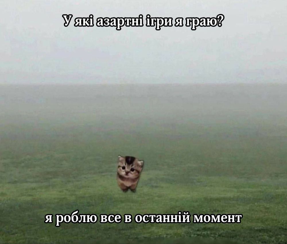 whatafactukr's tweet photo. https://t.co/3hwPCQkOPu