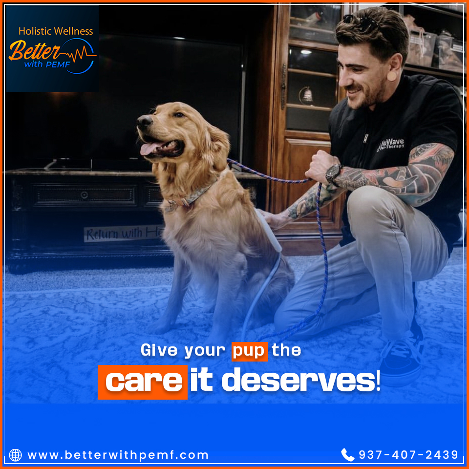 BetterWithPEMF's tweet photo. Whether your dog struggles with arthritis, hip dysplasia, or general stiffness, PEMF therapy can help ease pain and improve mobility. A drug-free solution for canine wellness!
.

#PEMFforDogs #CanineHealth #PainRelief #HappyPup #WellnessForPets https://t.co/vBtekLBiOO