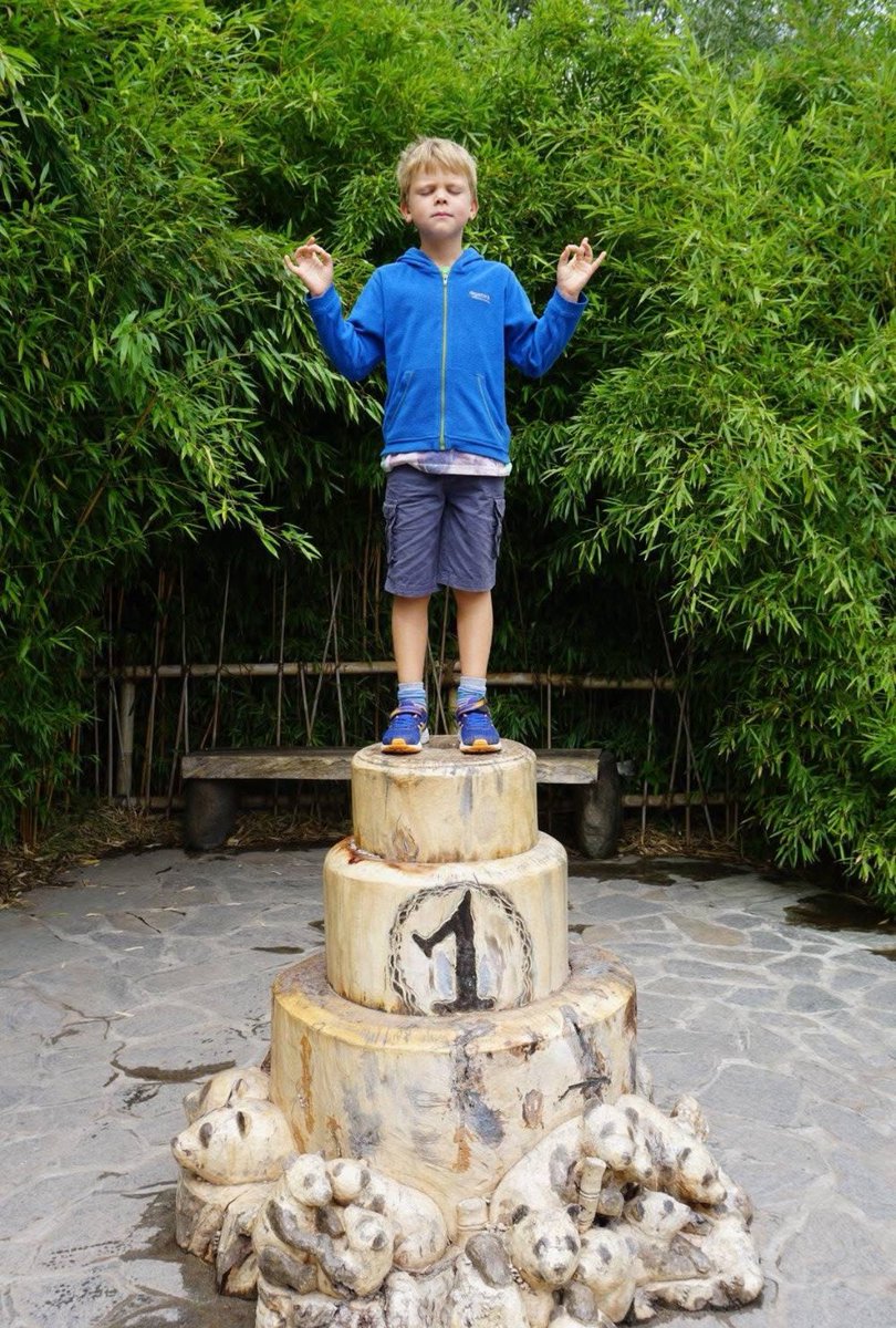 ToonThienpont's tweet photo. Deze rakker doet een copyright van de celebratie van @erling zijn signatuur celebratie #copyright #nietorigineel https://t.co/TZzlRAgVIS