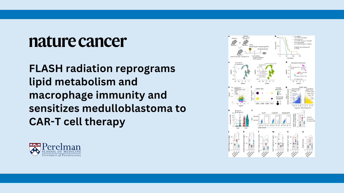 ft. H. Ni, W. Zou, N. Akhtar, <a href="/ritamapaul/">Ritama Paul, PhD</a>, M. Huang, D. Zhang, H. Zheng,  R. Zhang, R. Ma,  G. Ngo, <a href="/esdiffenderfer/">Eric Diffenderfer, Ph.D.</a>, S. Motlagh, <a href="/michelemkim/">Michele Kim</a>, <a href="/andyjminn/">Andy Minn</a>, J. Dorsey, J. Metz, C. Koumenis, Y. Gong, Y. Fan, L. Zhang &amp; <a href="/FosterJb/">Jessica Foster</a> <a href="/PennRadOnc/">Penn Radiation Oncology Residency</a> nature.com/articles/s4301…