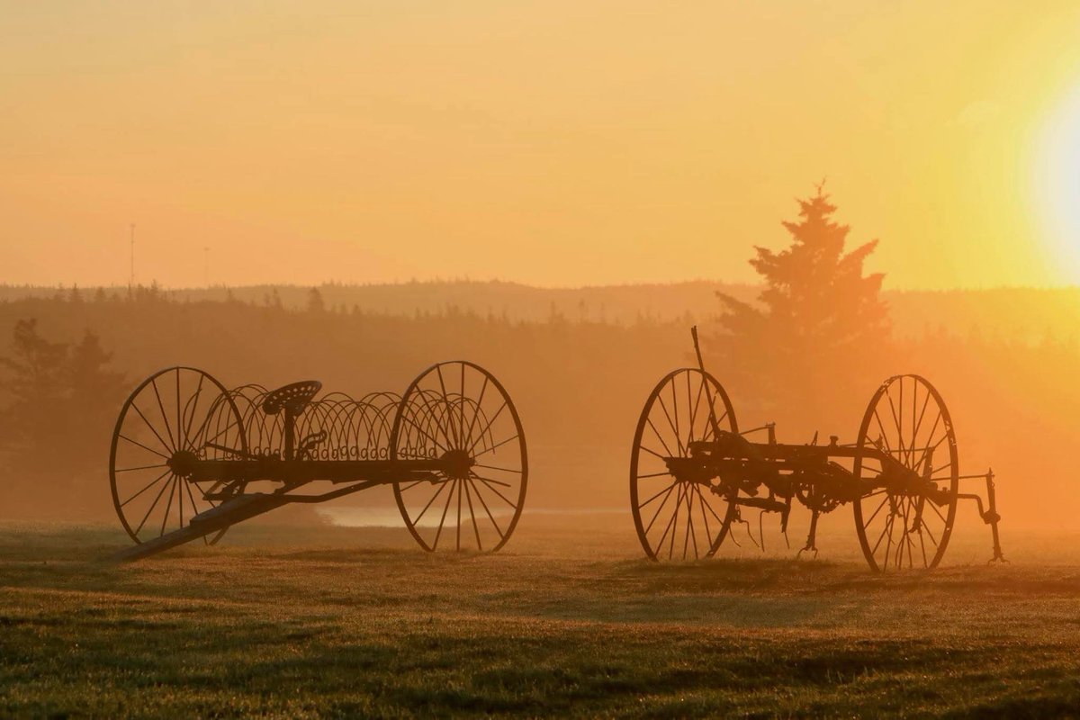 Pierrette dEntremont (@padentremont) on Twitter photo 