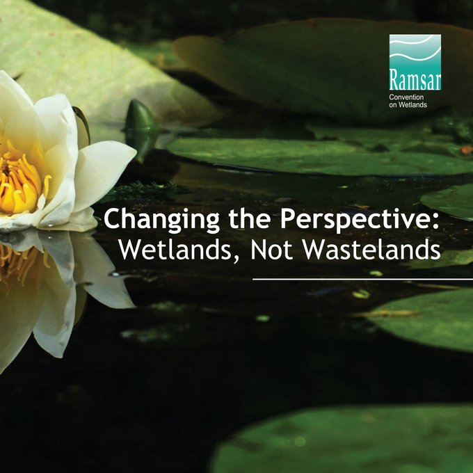 Wetlands sustain biodiversity by offering habitat for numerous freshwater and saltwater species, provide people with food and fresh water, protect shores against flooding and store carbon, which helps regulate climate change.

#WetlandConservation #WetlandsMatter
via <a href="/RamsarConv/">Convention on Wetlands</a>