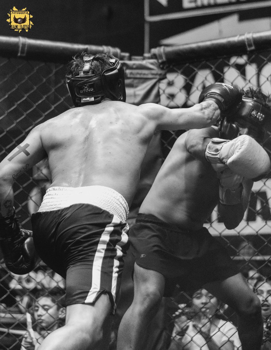 DanifloydFoto's tweet image. ALGUNAS FOTOS DEL PASADO EVENTO TFC. 
MIL GRACIAS POR TOMAR EN CUENTA MI TRABAJO.
NOS VEMOS EL 23 DE ESTE MES EN EL ESCAPE.
 #valetodo #muatai #kidboxing  #box #ufc