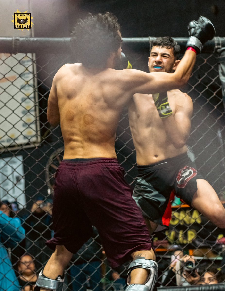 DanifloydFoto's tweet image. ALGUNAS FOTOS DEL PASADO EVENTO TFC. 
MIL GRACIAS POR TOMAR EN CUENTA MI TRABAJO.
NOS VEMOS EL 23 DE ESTE MES EN EL ESCAPE.
 #valetodo #muatai #kidboxing  #box #ufc