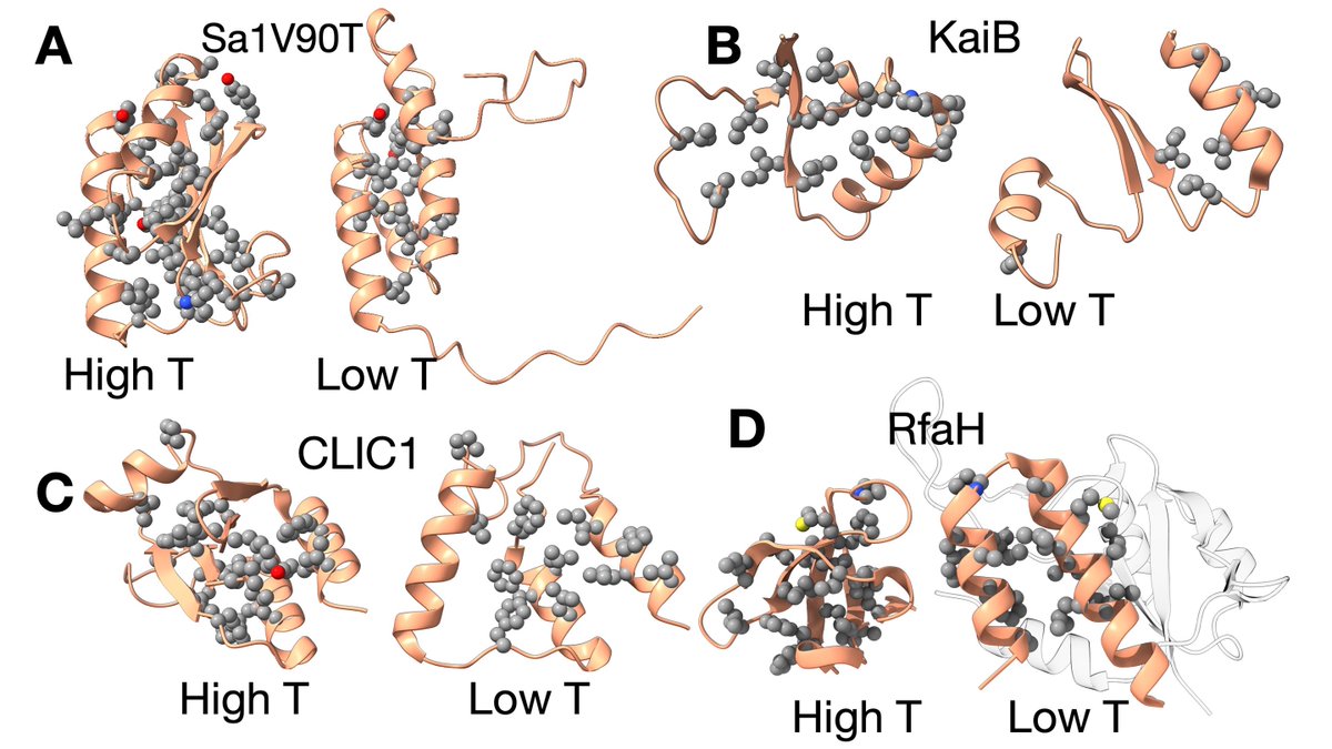 New Study Uncovers Temperature-Driven Mechanism in Metamorphic Proteins in <a href="/PNASNews/">PNASNews</a> paper published by <a href="/UMD_IBBR/">IBBR</a> and <a href="/ChemBiochemUMD/">UMD Department of Chemistry & Biochemistry</a>'s John Orban
ibbr.umd.edu/news/new-study…