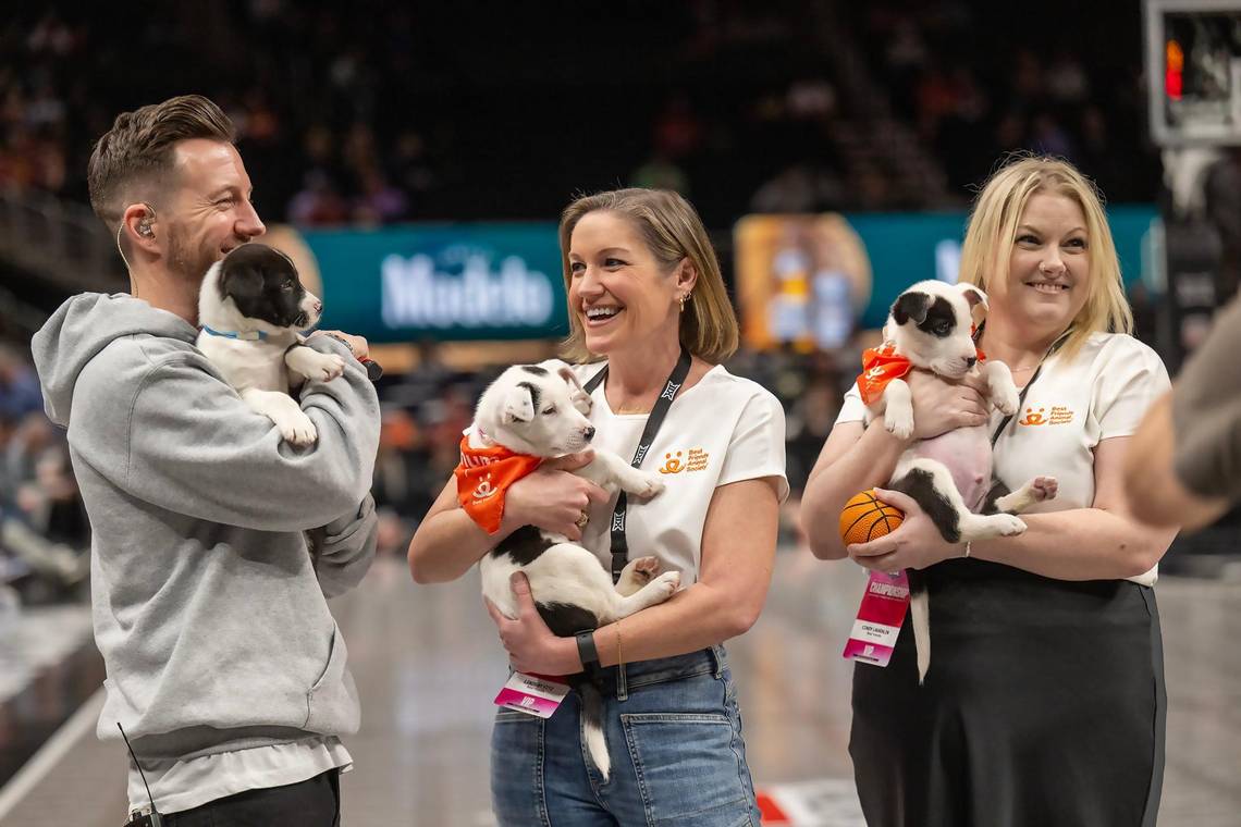 “Come for the basketball, go home with a puppy”.

At the Big 12 Championships, fans can meet adoptable puppies at our Tunnel Cuddle Lounge—because the best takeaway from the game isn’t just a win, it’s a new best friend. 🏀🐶