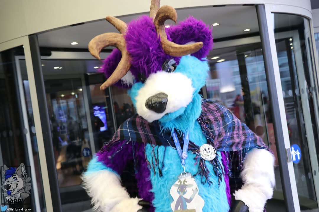 What do you want 

#fursuitfriday