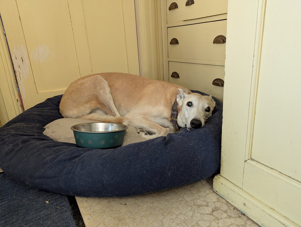 Something PIE related appears to be in progress. #314Day