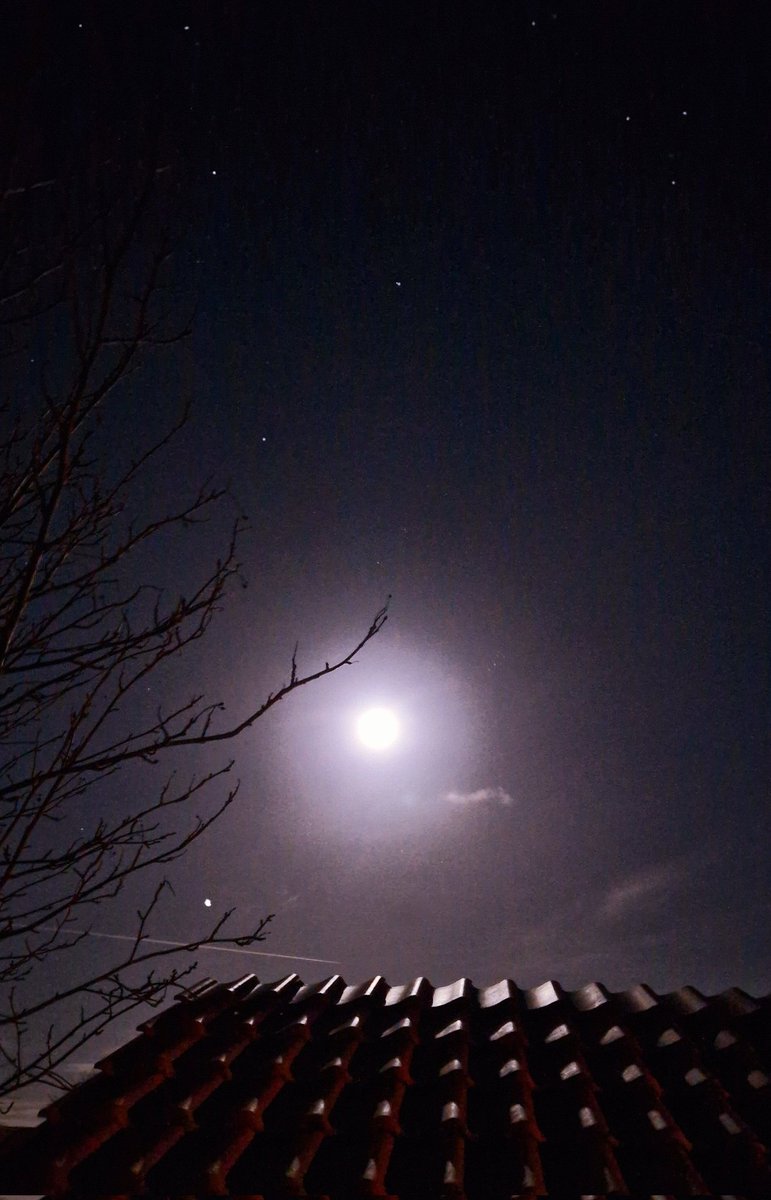 ChristiDavid_'s tweet photo. Friday night chill ✨️🌕
#FridayVibes #fullmoon https://t.co/TTdsPqZa68