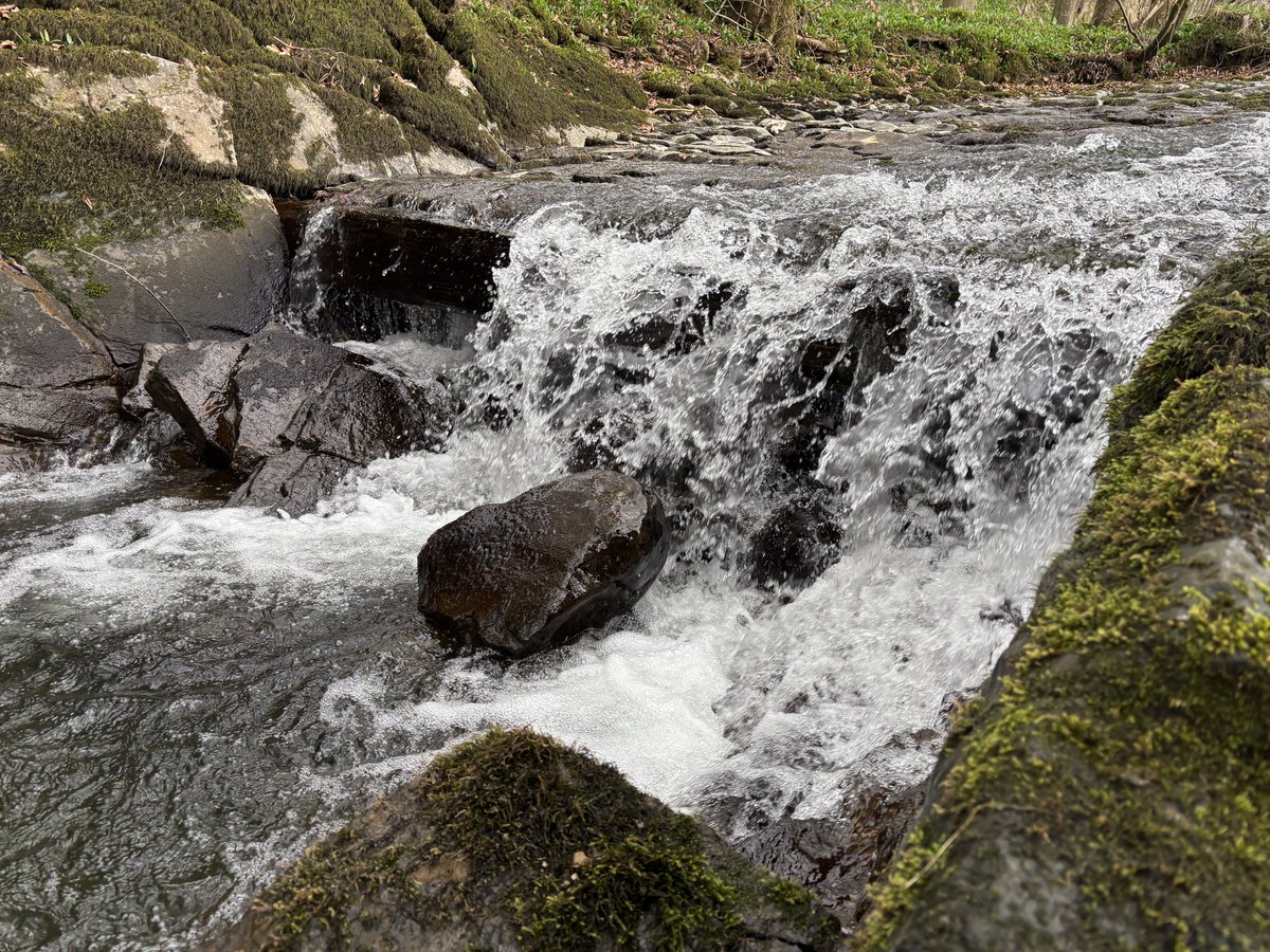 Ribble Trust CEO (@jackspees) on Twitter photo A rare & very enjoyable site visit with <a href="/ProfJGrey/">Jonathan Grey</a> . Sometimes tricky sites need two brains and I could not have thought of anyone better! He’s not
Contemplating the meaning of life, although figuring out #fish passage solutions is just as deep. <a href="/RibbleTrust/">Ribble Rivers Trust</a> <a href="/WildTroutTrust/">The Wild Trout Trust</a> A rare & very enjoyable site visit with <a href="/ProfJGrey/">Jonathan Grey</a> . Sometimes tricky sites need two brains and I could not have thought of anyone better! He’s not
Contemplating the meaning of life, although figuring out #fish passage solutions is just as deep. <a href="/RibbleTrust/">Ribble Rivers Trust</a> <a href="/WildTroutTrust/">The Wild Trout Trust</a>