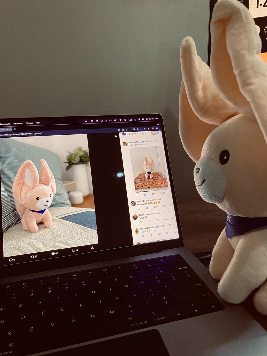 devJunaid1's tweet image. Flash is all ears today! 
She got some friends to celebrate 🎉
#HappyBirthdayFlash #PiDay